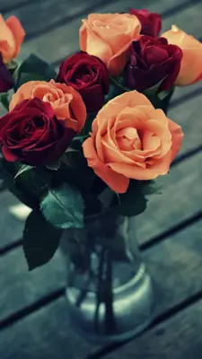 Rose Wallpapers android App screenshot 4